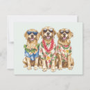 Buscar golden retriever postales Verano