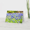 Buscar texano tarjetas Naturaleza