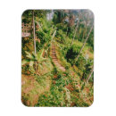 Buscar bali imanes Isla