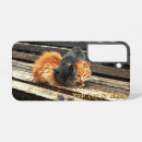 Buscar gatitos samsung fundas Animales