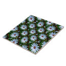 Buscar margaritas blancas azulejos Para todos