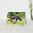 Buscar correr tarjetas Animal