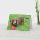 Buscar caridades tarjetas Perro