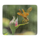 Buscar color rosa rosado tablas cortar Floral