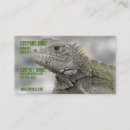 Buscar herps Lagarto