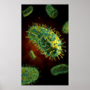 Buscar biología celular posters 3d