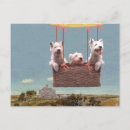 Buscar westie postales Animales