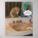 Buscar chistoso posters Perro
