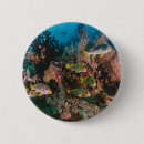 Buscar coral chapas General y unisex