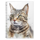 Buscar gato hermoso cuadernos Acuarela