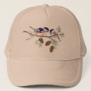 Buscar pino gorras Pájaros