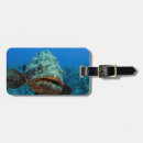 Buscar cuba etiquetas para maletas Océano