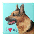 Buscar pastores alemanes azulejos Gsd