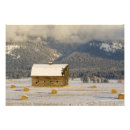 Buscar nie arte Invierno