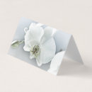 Buscar phalaenopsis Floral
