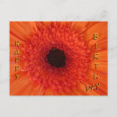 Buscar gerberas postales General y unisex