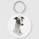 Buscar purebreed Canino