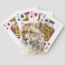 Buscar queso barajas de cartas Guepardo
