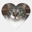 Buscar blanco gris manualidades General y unisex