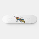 Buscar cañón tablas de skate Para todos