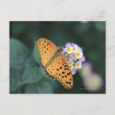 Buscar tokyo postales Flor