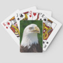 Buscar rapaz barajas de cartas Fauna