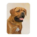 Buscar bordeaux imanes Cachorro
