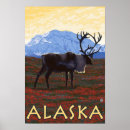 Buscar alaska posters Caribú