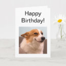 Buscar sonrisa feliz tarjetas Para él