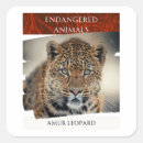 Buscar leopardo pegatinas General y unisex