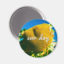 Buscar sunflower imanes Girasol