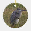 Buscar pájaro grande adornos Pájaros