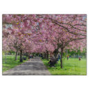 Buscar cereza tablas cortar Flor de cerezo
