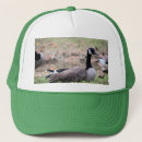 Buscar medios gorras Fotografía