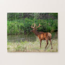 Buscar bisontes puzzles Montana