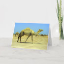 Buscar camello feliz tarjetas Desierto