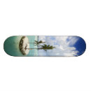 Buscar mente tablas de skate General y unisex