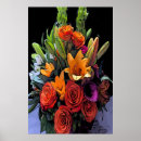 Buscar arreglo posters General y unisex