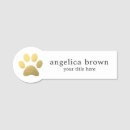 Buscar húmero Veterinario
