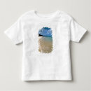 Buscar del caribe camisetas Playa