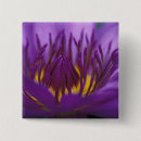 Buscar bangkok tailandia chapas Asia