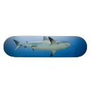 Buscar foto tablas de skate Mar