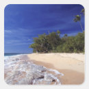 Buscar fiji pegatinas Vacaciones