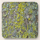 Buscar corteza de árbol posavasos Marrón