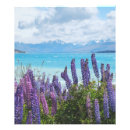 Buscar lavadora posters Naturaleza