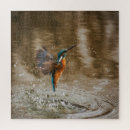 Buscar pescadores puzzles Foto