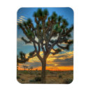 Buscar reservas imanes California