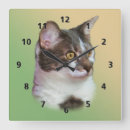 Buscar gato blanco y negro relojes de pared Para todos