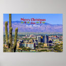 Buscar tucson otros Cactus