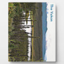 Buscar paisajes placas fotograbadas Bosque